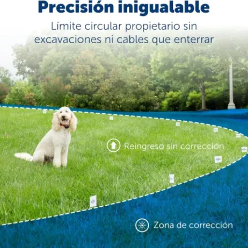 Test PetSafe Système Anti-Fugue Sans Fil : pratique, efficace… mais pas magique