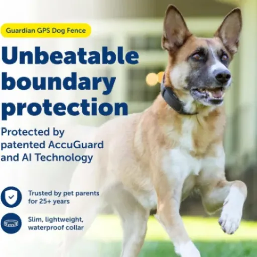 Test PetSafe Guardian Clôture GPS : la clôture sans fil pratique mais pas sans soucis