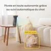 Test Furbo Caméra pour Chat 360° : gadget rassurant ou jouet cher pour humains anxieux ?