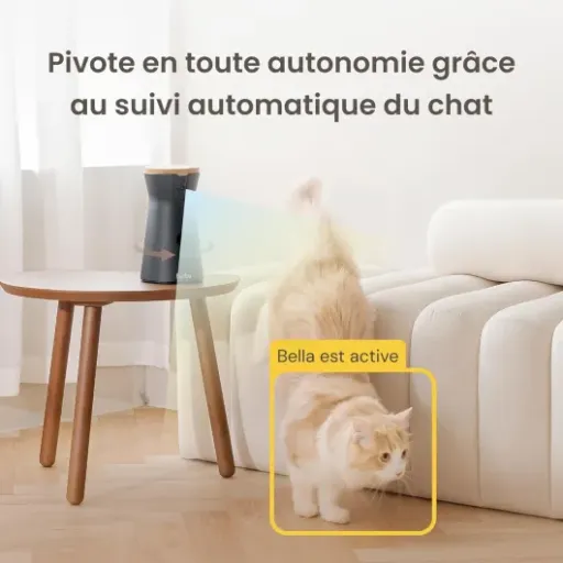 Test Furbo Caméra pour Chat 360° : gadget rassurant ou jouet cher pour humains anxieux ?