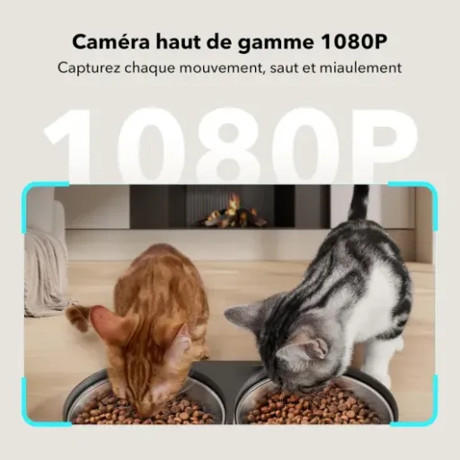 Test PETLIBRO Distributeur Croquettes 2 Chats avec caméra : pratique mais pas parfait