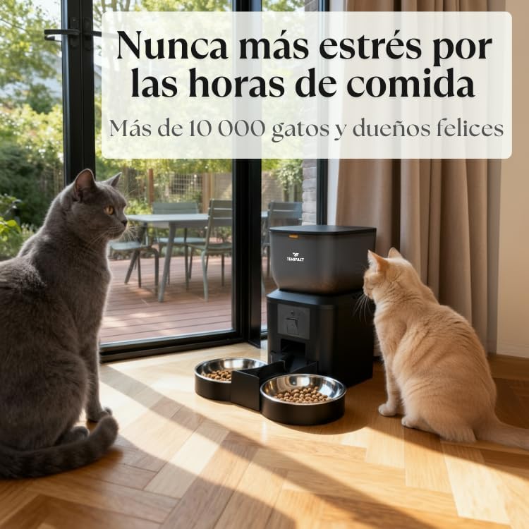 Distributeur Automatique de Nourriture pour Chat – Mangeoire avec Caméra Full HD – Gamelle pour Chat – Noir