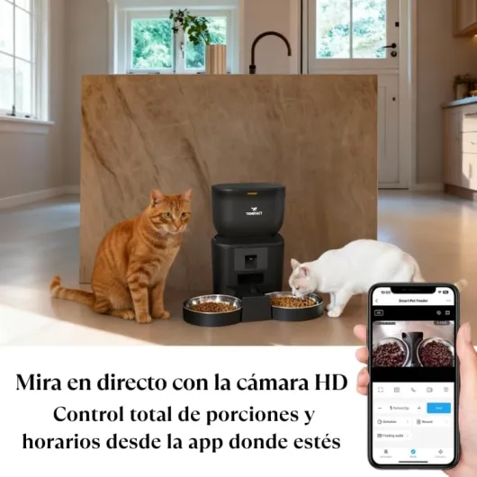 51h6vV7jjdL._AC_