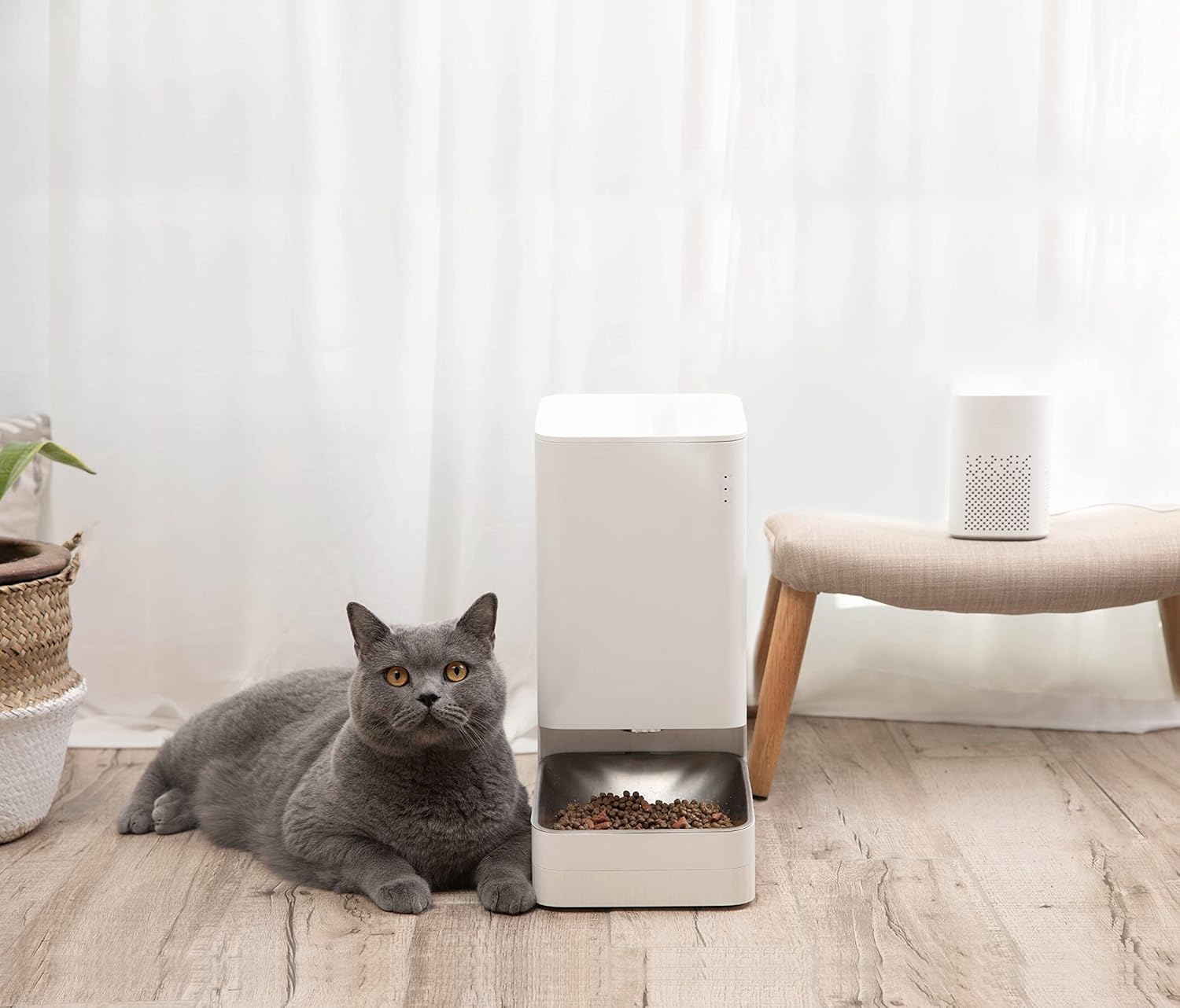 Smart Pet Food Feeder Gamelle connectée, étanche, pour Animaux de Compagnie de Petite à Moyenne Taille, Bol en Acier Inoxydable, 3,6L, 5,9W, Blanc - Version FR Aliment intelligent pour animaux de compagnie