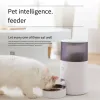 Test Pet Smart Feeder 2,5 L : la mangeoire connectée qui fait (presque) tout toute seule