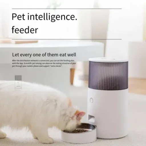 Test Pet Smart Feeder 2,5 L : la mangeoire connectée qui fait (presque) tout toute seule