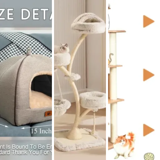 Top 6 des meilleurs espaces de repos ergonomiques pour chat (mai 2026)
