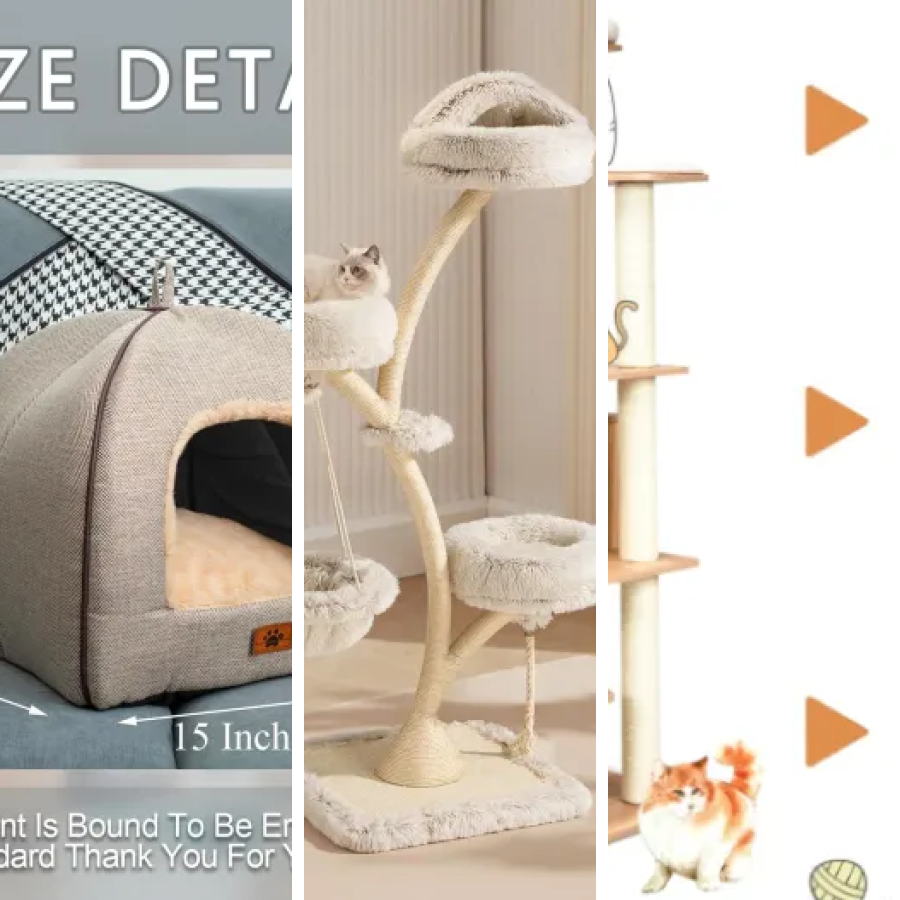 Top 7 des meilleurs espaces de repos ergonomiques pour chat (2026)