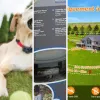 Comparatif des 5 meilleurs systèmes anti-fugue pour chat (mai 2026)