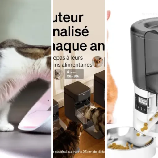 Guide d'achat : les 7 meilleurs distributeurs pour chat avec reconnaissance individuelle (mai 2026)