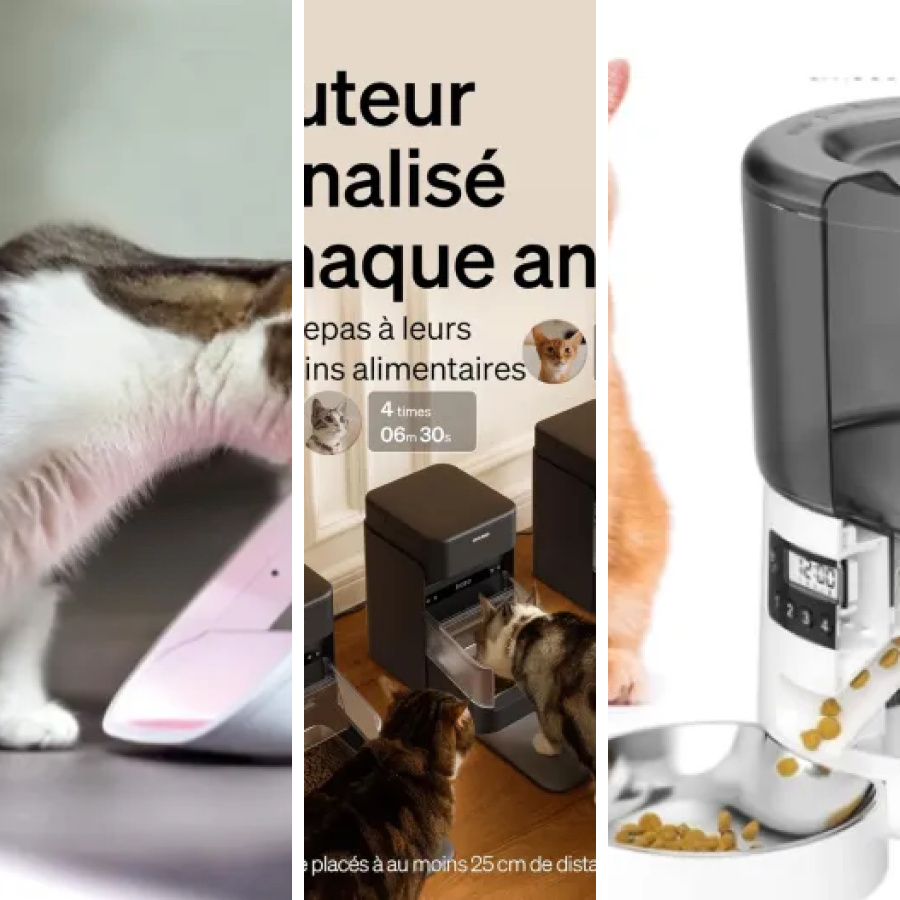 Guide d'achat : les 9 meilleurs distributeurs pour chat avec reconnaissance individuelle (2026)