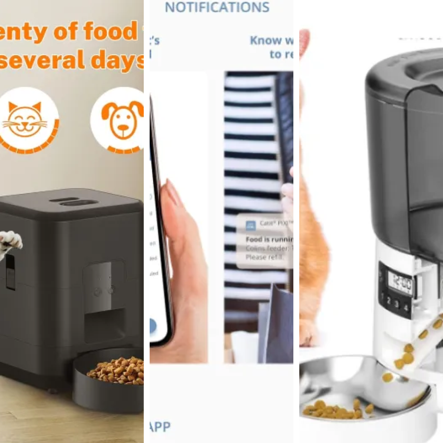 Top 9 : meilleurs stations d’alimentation intelligentes pour chat (2026)