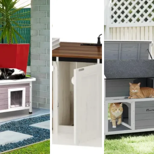 Quel maisons connectées pour chat choisir ? Top 7 (mai 2026)