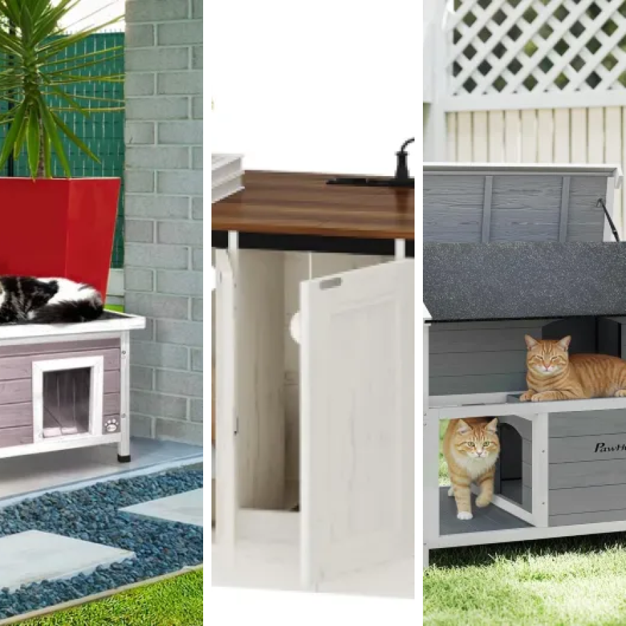 Quel maisons connectées pour chat choisir ? Top 7 (2026)