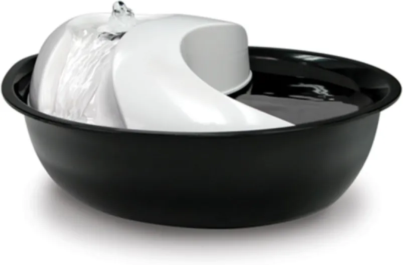 Pioneer Pet Raindrop Fontaine à Boire en céramique pour Animaux de Compagnie Blanc