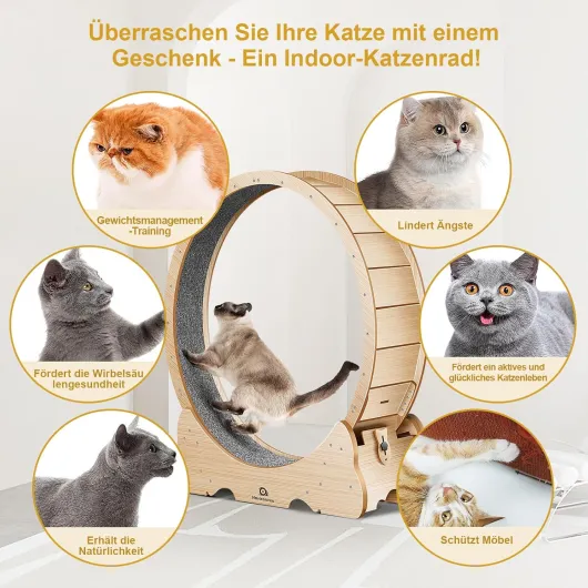 Roue pour Chat Couleur Bois Naturel XXL – Roue Chat diamètre 135 cm, silencieuse et Solide pour Exercice et Divertissement intérieur – Design élégant, idéale pour Grands Chats Actifs XXL Couleur bois