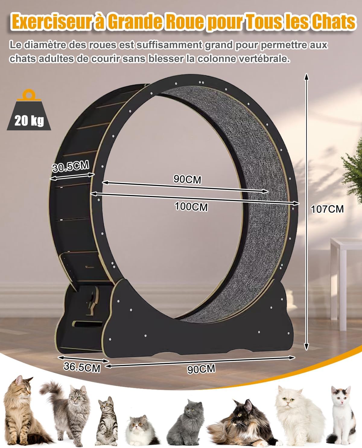 Grande roue d'exercice pour chat de 101,6 cm – Roue d'exercice en bois massif noir pour chats d'intérieur – Tapis de course de sécurité pour chat avec verrouillage et espace réduit 100cm Noir