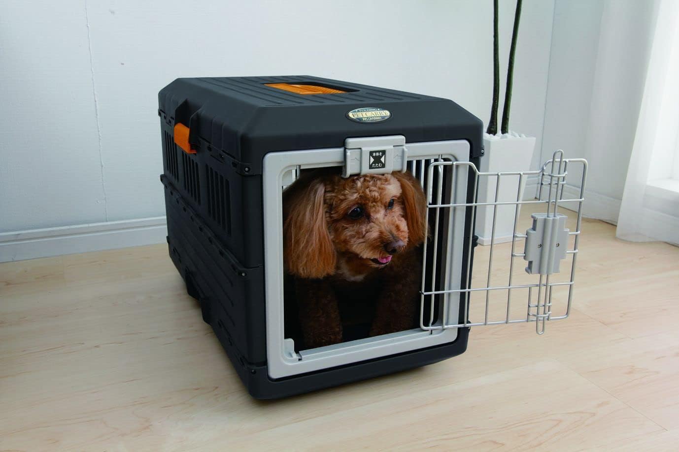 , Caisse, Cage, Box de Transport pour Chien, Chat, 2 Portes, Clips, et Loquet de Sécurité, Plastique(PP) sans BPA,L55 x P31.5 x H36.4 cm, Train, Voiture et Avion, FC-550, Noir