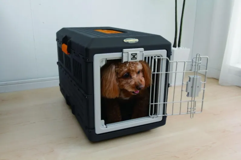 , Caisse, Cage, Box de Transport pour Chien, Chat, 2 Portes, Clips, et Loquet de Sécurité, Plastique(PP) sans BPA,L55 x P31.5 x H36.4 cm, Train, Voiture et Avion, FC-550, Noir
