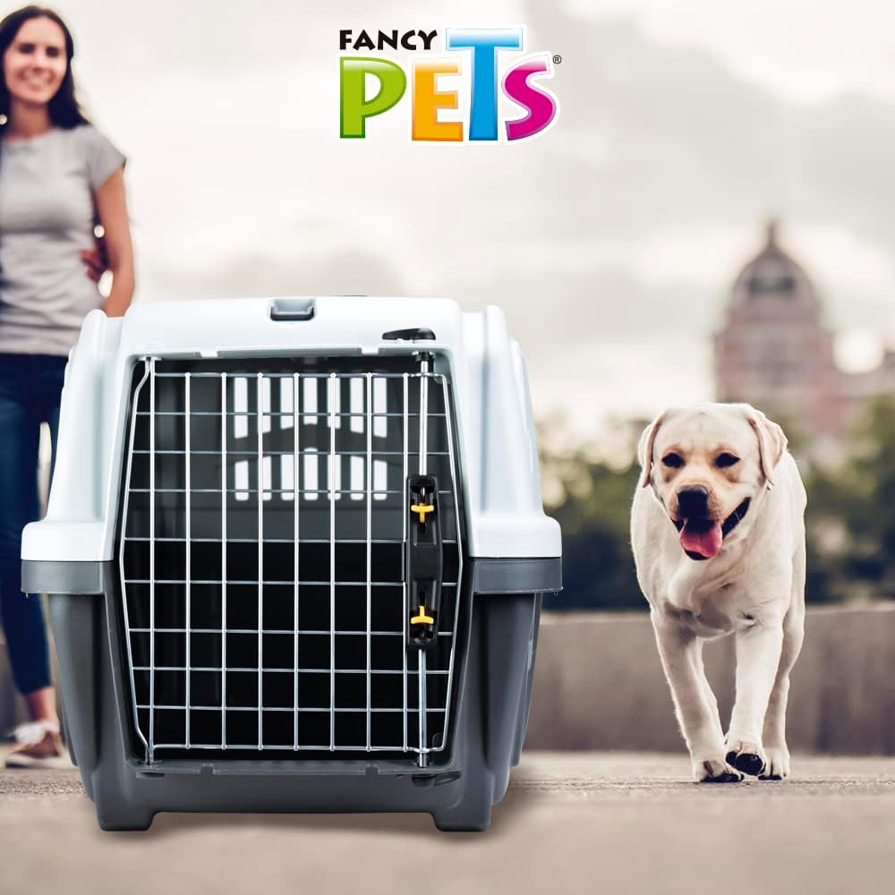 Trixie Caisse de Transport Skudo – S : 40 × 39 × 60 cm, Conforme IATA – Caisse Robuste en Plastique avec Fermetures à Clips, pour Chiens & Chats, Voiture & Avion L 60 x l 39 x H 40 cm
