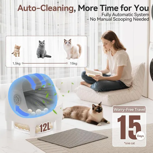 81x2Er3QzGL._AC_SL1500_