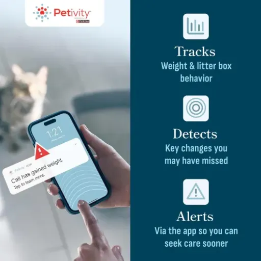 Test Petivity Smart Litter Box : le plateau qui espionne (vraiment) le bac à litière
