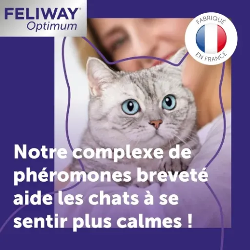 Test FELIWAY Optimum Anti-Stress : le diffuseur qui calme (vraiment) les chats stressés… mais qui pique un peu au portefeuille