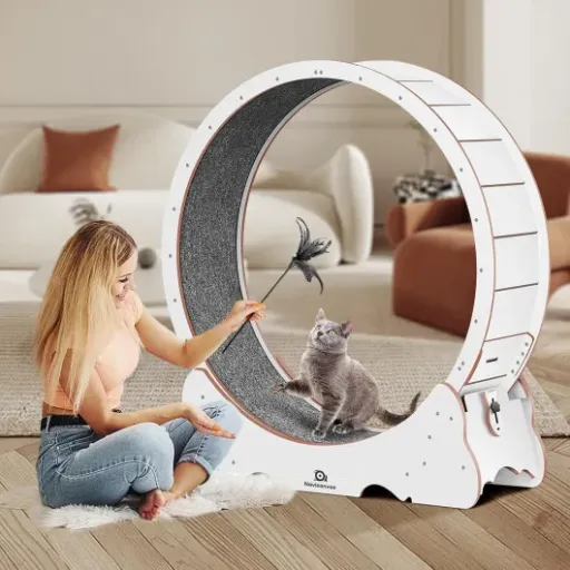 Test Roue pour Chat XL Naviconvex : grosse roue pour gros chats qui ont besoin de se défouler