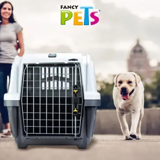 Test Trixie Caisse de Transport Skudo S : la caisse en plastique qui fait le job sans chichi