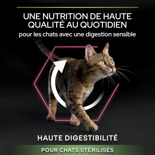 81QjuFXGGEL._AC_SL1500_