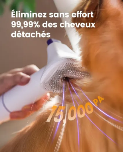 71SjANcsp2L._AC_SL1500_