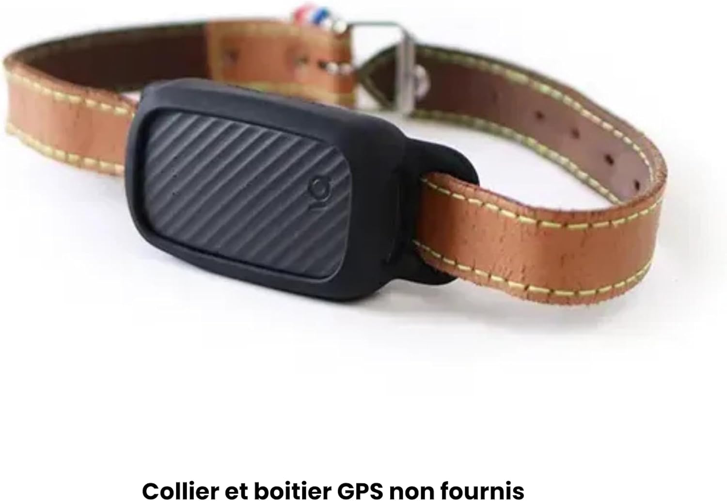 JAGGER LEWIS - GPS pour Chien sans abonnement - Carte SIM Incluse - 10 à 15 Jours d'autonomie - Localisation Temps réel - Alertes Fugue - Suivi Bien-être et activités - Appli iOS et Android Pack boitier Chaussette Charbon
