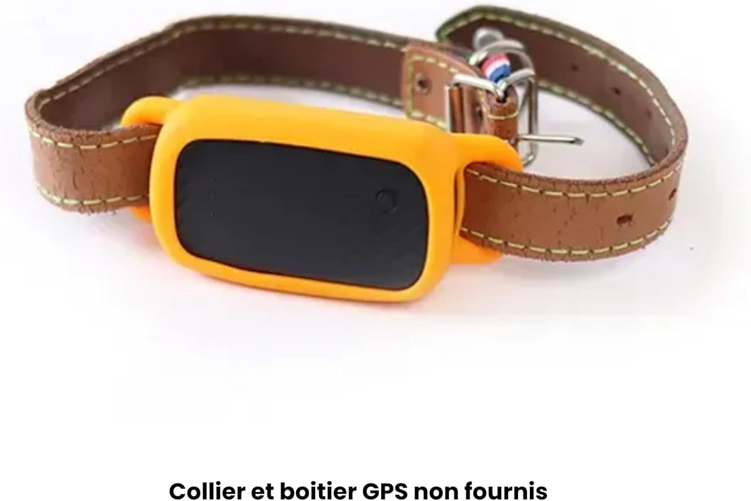 JAGGER LEWIS - GPS pour Chien sans abonnement - Carte SIM Incluse - 10 à 15 Jours d'autonomie - Localisation Temps réel - Alertes Fugue - Suivi Bien-être et activités - Appli iOS et Android Pack boitier Chaussette Fauve