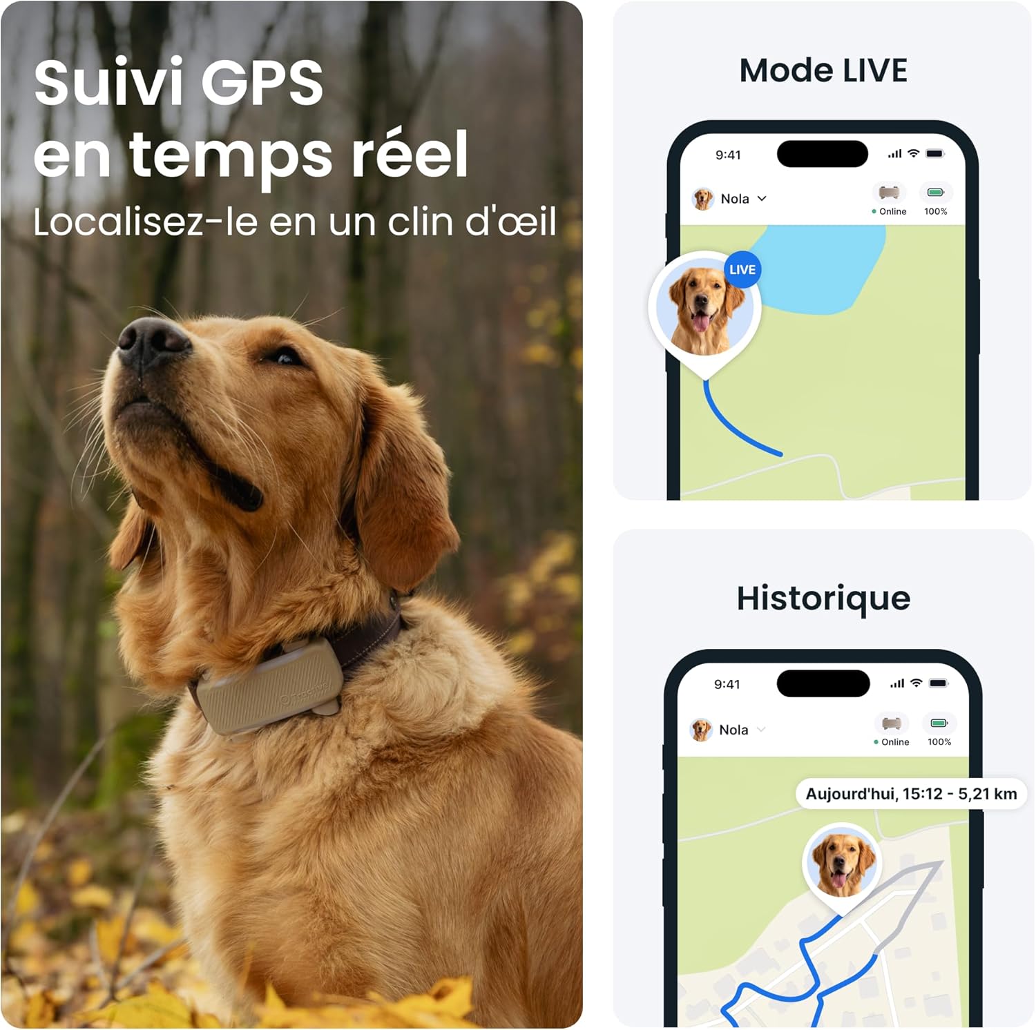 Collier GPS Chien Connecté XL (Marron)