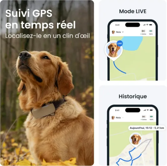 Collier GPS Chien Connecté XL (Marron)