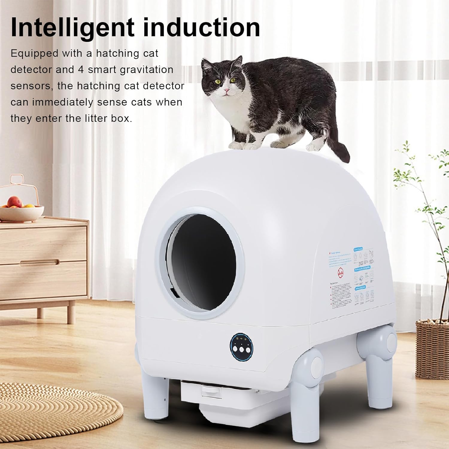 Generic Boîte à Litière de Chat Automatique, Suppression des Odeurs Désinfection Ionique Box Litière de Chat Intelligent 100-240V pour la Maison (Prise UE) Prise UE 1 unité (Lot de 1)