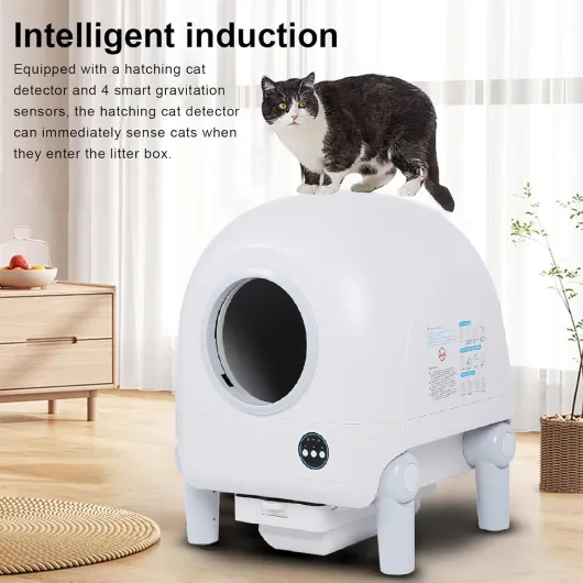 Generic Boîte à Litière de Chat Automatique, Suppression des Odeurs Désinfection Ionique Box Litière de Chat Intelligent 100-240V pour la Maison (Prise UE) Prise UE 1 unité (Lot de 1)