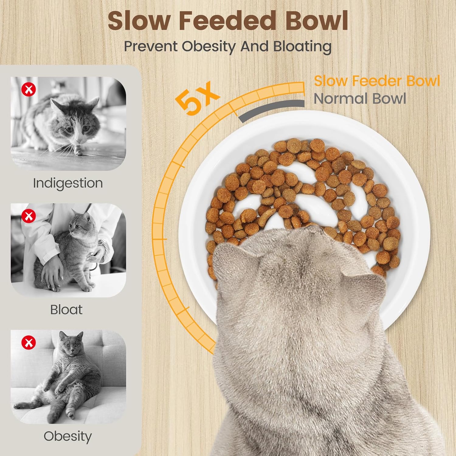 Gamelle Anti Glouton Chat Céramique, 2 Bols Chat Surélevée Anti Vomissement, Gamelle pour Chats 15°Incliné avec Support Bambou, Bol pour Chaton Alimentation Lente Blanc