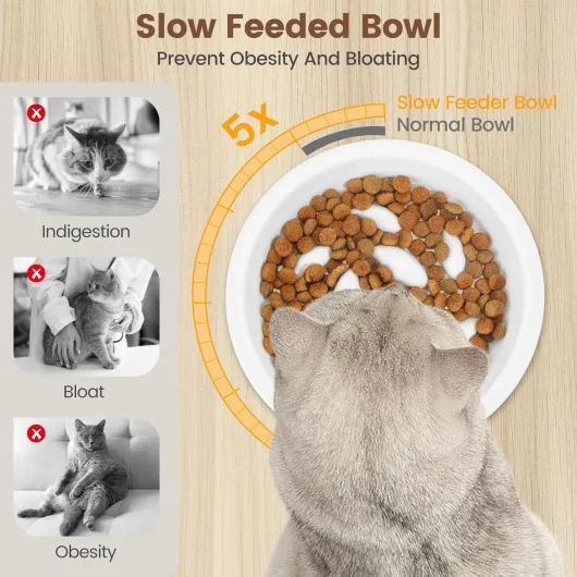 Gamelle Anti Glouton Chat Céramique, 2 Bols Chat Surélevée Anti Vomissement, Gamelle pour Chats 15°Incliné avec Support Bambou, Bol pour Chaton Alimentation Lente Blanc
