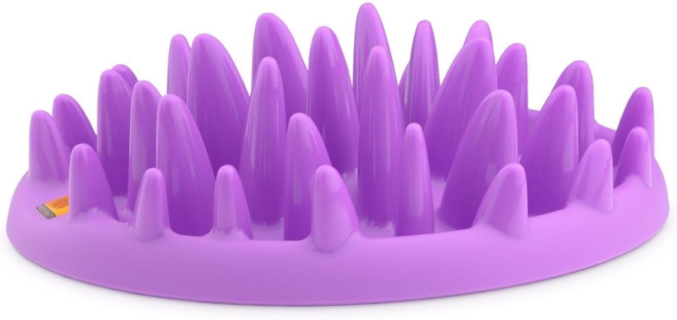 Interactive Gamelle d'alimentation Lente pour chats CATCH - Gamelle Anti Glouton Chat pour réduire les ballonnements, Procure une stimulation mentale, lavable au lave-vaisselle, Pour Toutes les Races Moderne