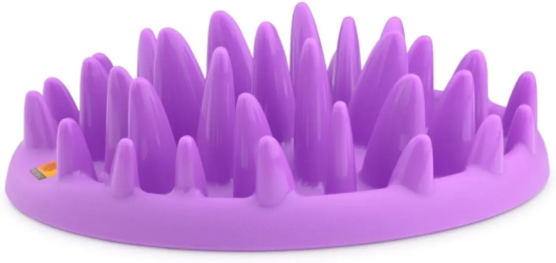 Interactive Gamelle d'alimentation Lente pour chats CATCH - Gamelle Anti Glouton Chat pour réduire les ballonnements, Procure une stimulation mentale, lavable au lave-vaisselle, Pour Toutes les Races Moderne