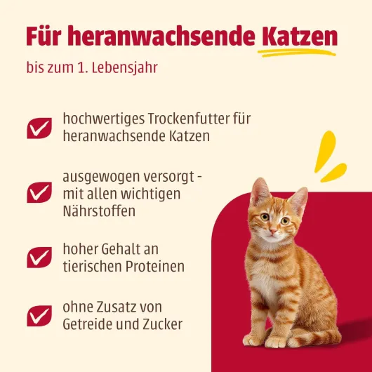 Animonda Carny Nourriture pour Chat Kitten - Croquettes Chat sans Sucre et sans céréales - avec Poulet 1 x 10 kg