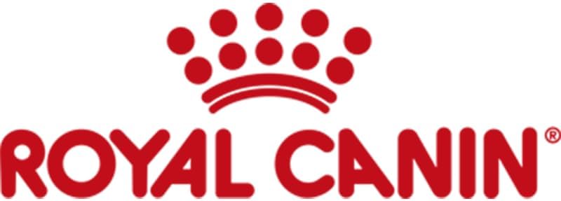 Royal Canin Gastrointestinal Kitten Feline - 2 kg - Aliment Complet diététique pour Chatons - Peut Aider à réduire Les Troubles du tractus Gastro-intestinal 2 kg (Lot de 1)