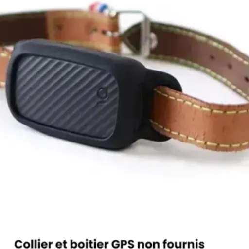 Test JAGGER LEWIS GPS pour chien : le traceur sans abonnement qui fait (globalement) le job