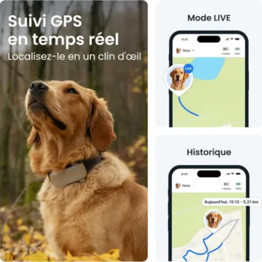 Test Tractive Collier GPS Chien Connecté XL : le gros traceur qui rassure (surtout en extérieur)