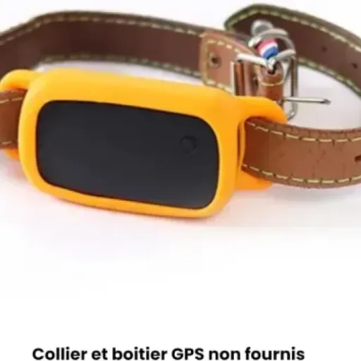 Test JAGGER LEWIS GPS pour chien : le traqueur sans abonnement qui fait (souvent) le job