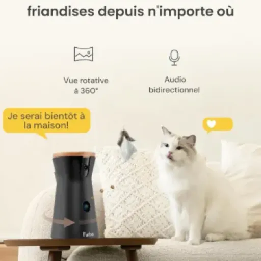 Test Furbo 360° Chat (Pack Sécurité Premium) : la caméra sympa mais 100 % dépendante de l’abonnement