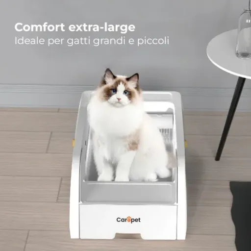 Test Carepet C102WC : la litière autonettoyante connectée qui veut tout faire