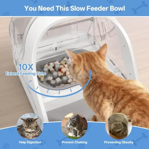 Test lot Feriva pour SureFeed : pratique pour les chats gloutons, mais pas parfait