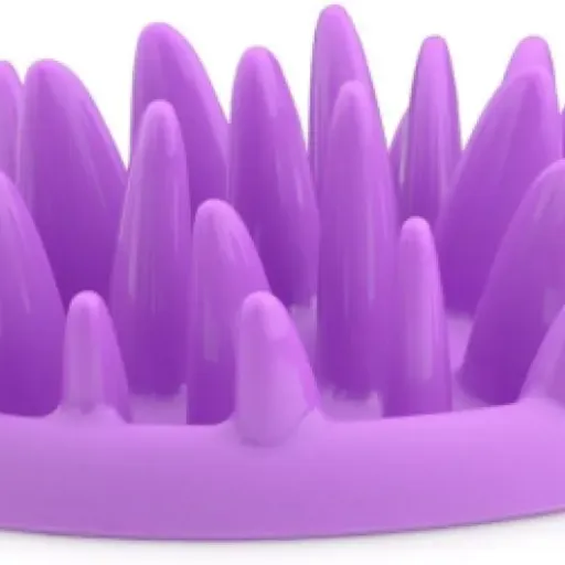 Test Interactive Gamelle d'alimentation Lente CATCH : la gamelle anti-glouton qui calme (un peu) les goinfres